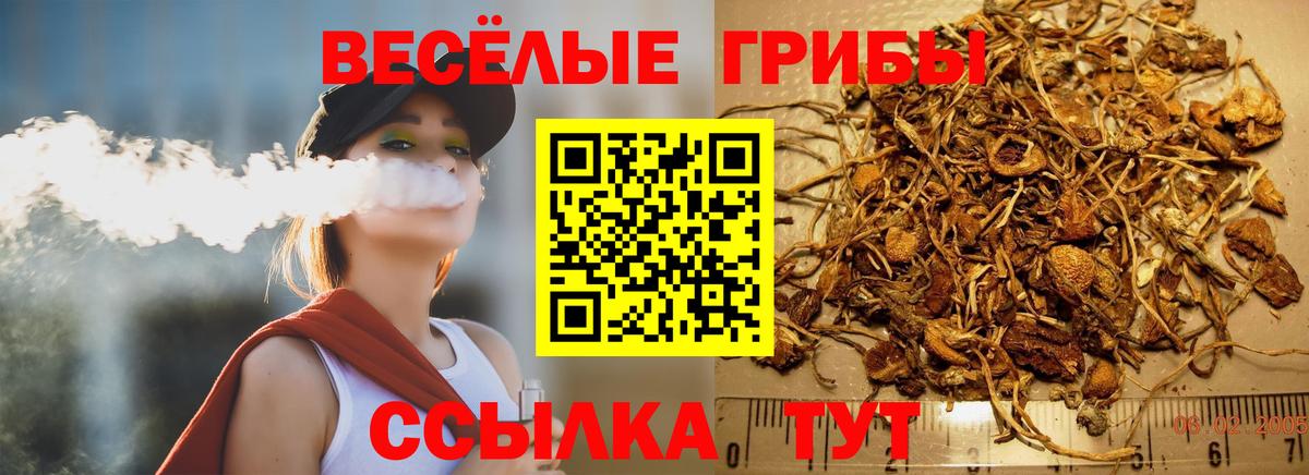 Галлюциногенные грибы Cubensis Иваново